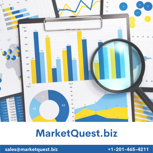 Healthcare Digital Marketing Outsourcing Market Strategic Assessment – Cardinal Digital Marketing, Meditwitt, Thrive Internet Marketing Agency, Hootsuite