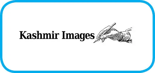 An Analysis of ‘Online Fraud’ using ‘Fake Identity’ – Kashmir Images – Latest News Update