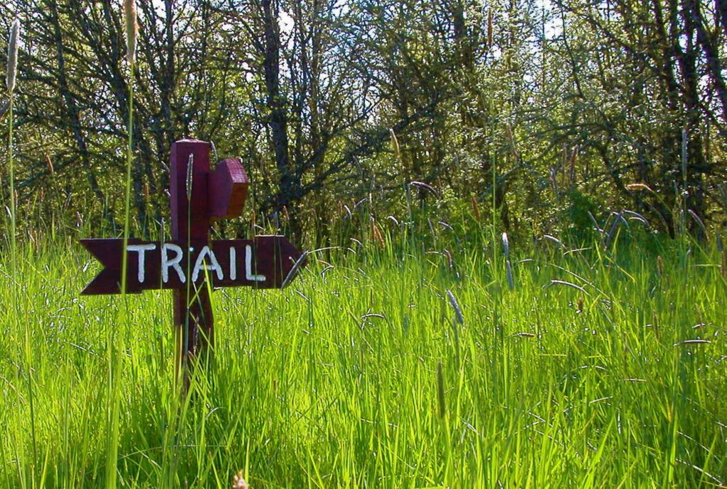 WildLife Notebook – Scranton Times-Tribune