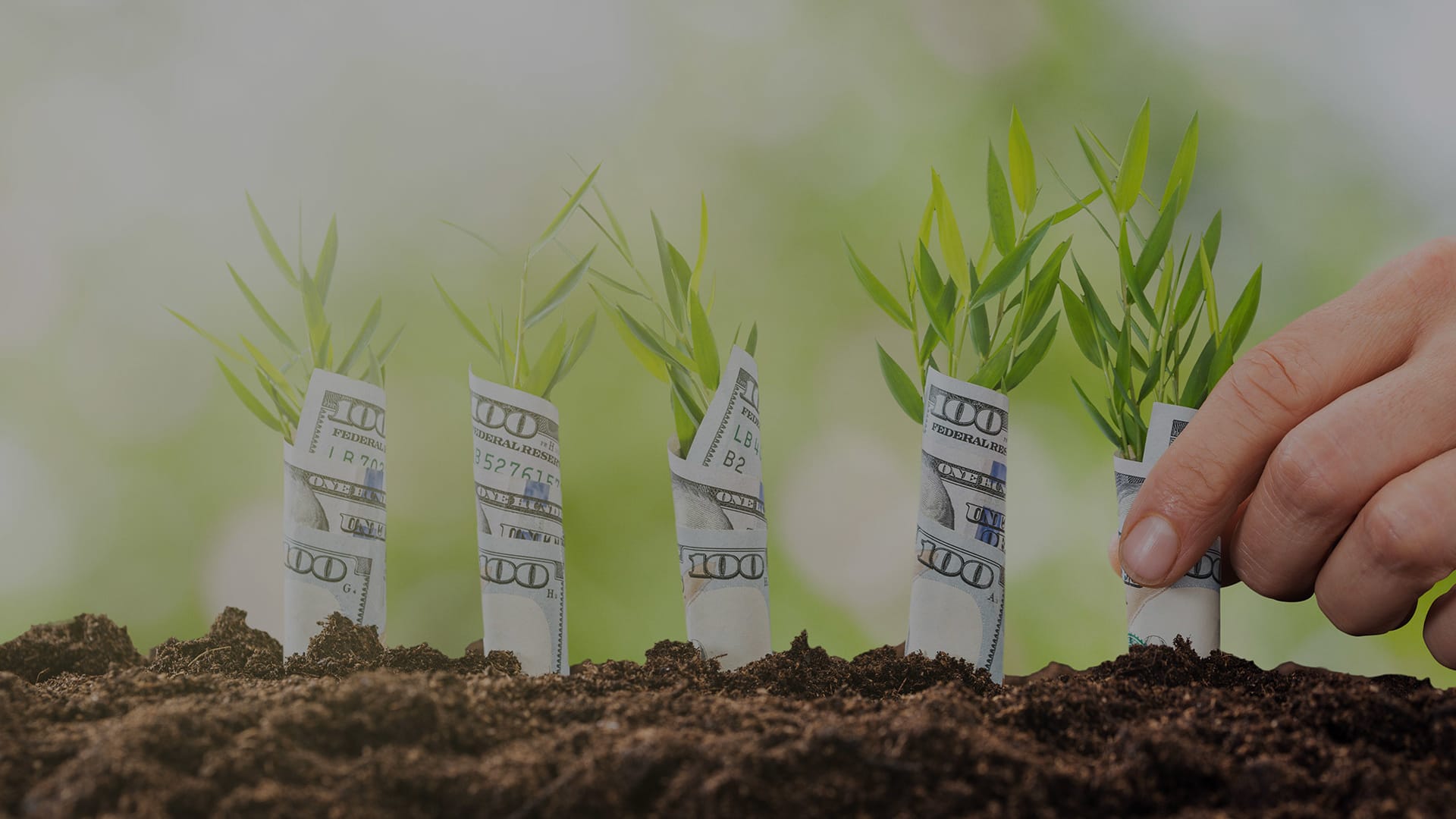 Responsible investment: Eight steps to make money grow on trees – CNBC