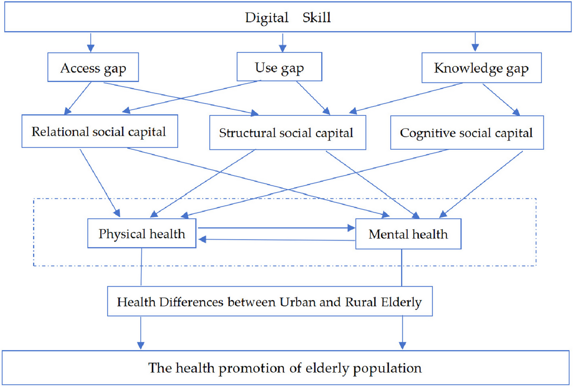 The promotion mechanism of physical and mental health of the elderly in China: the impact of the digital divide and social capital | BMC Public Health