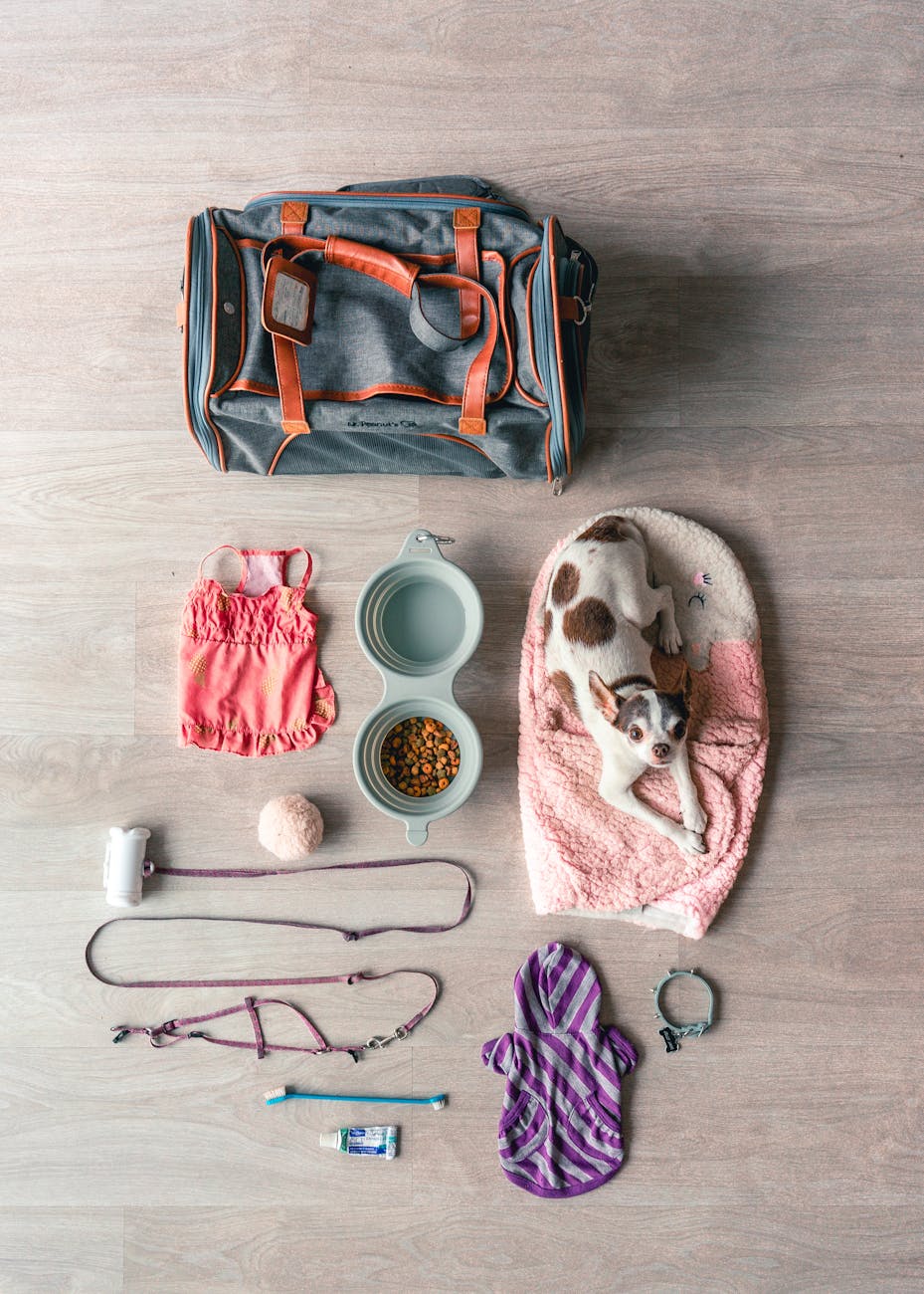 Where to Buy Trusted Pet Health Supplies Online