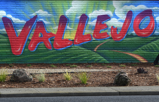 Annual Christmas Tree fundraiser begins at Loma Vista Farm – Times Herald Online