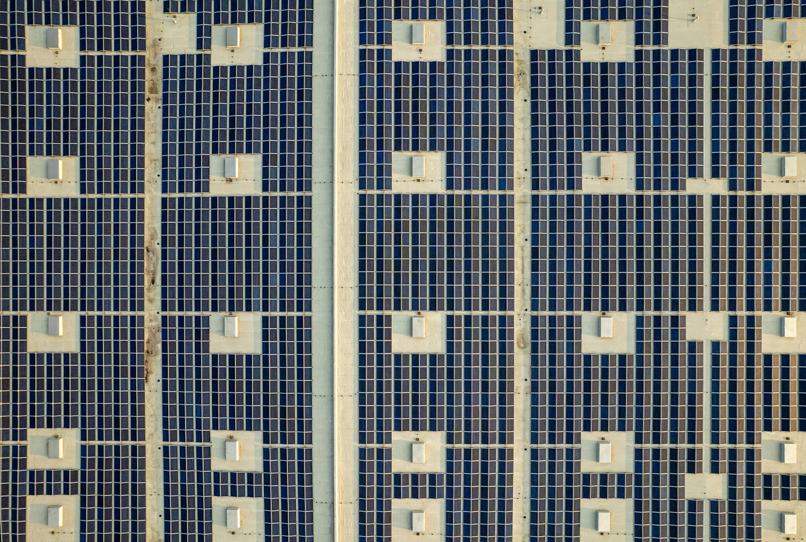 Sustainability and technology: The role of digital tools in building greener businesses