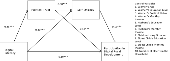 Digital literacy’s impact on digital village participation in rural left-behind women through serial mediation of political trust and self-efficacy