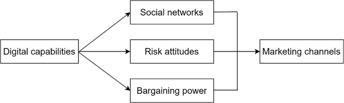 The impact of digital capabilities on farmers’ choice of marketing channels: evidence from rural areas of the Yellow River Basin in China