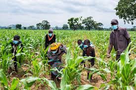 Agriculture Experts, Policymakers Storm Umuahia On Digital Farming Revolution