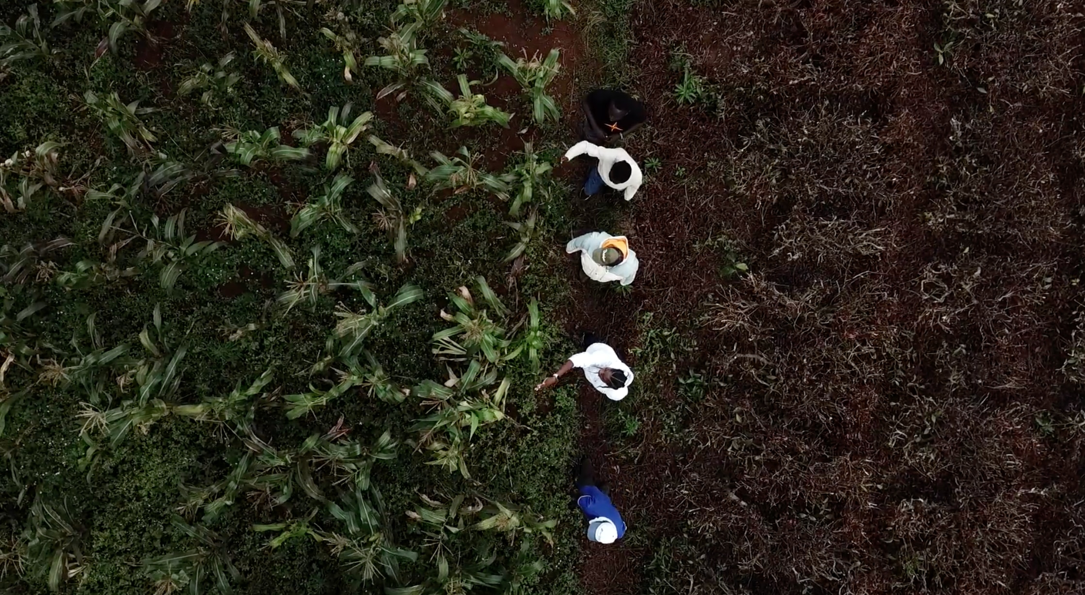 HP’s 2025 Pitch Fest Showcases Global Nonprofits Advancing the Future of Work