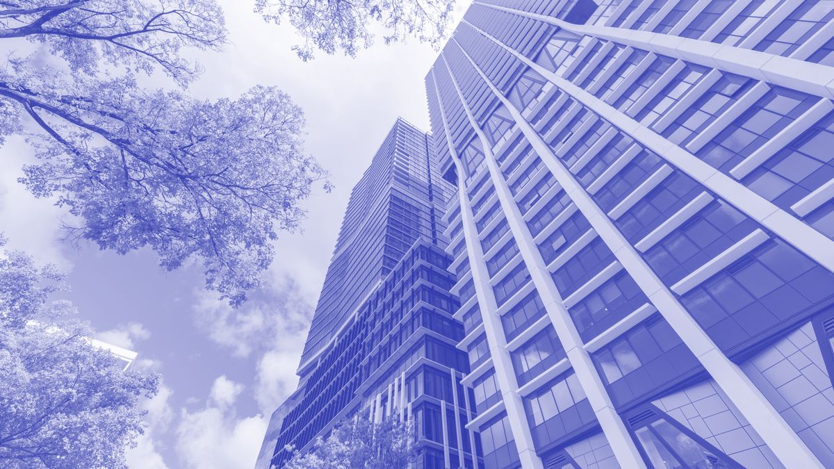 Australia’s tech skills crisis is a city-sized problem we can’t ignore — Capital Brief