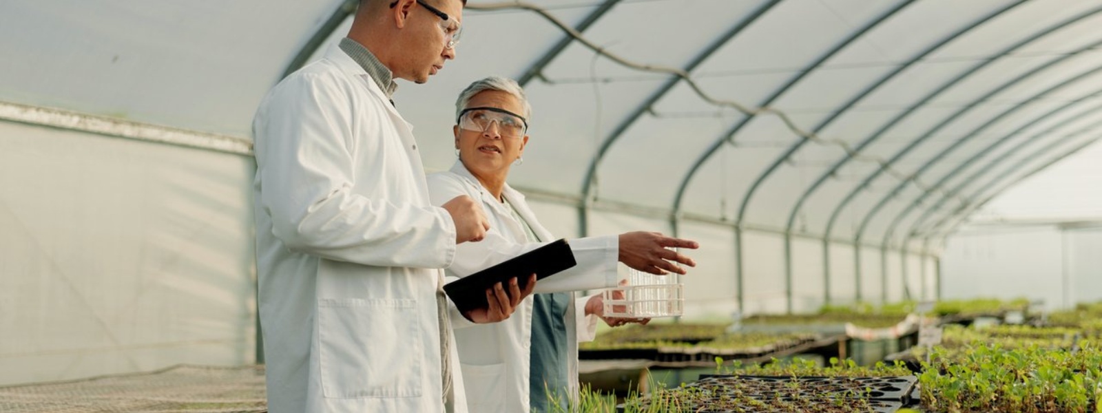 Future Professions You Need to Skill Up For