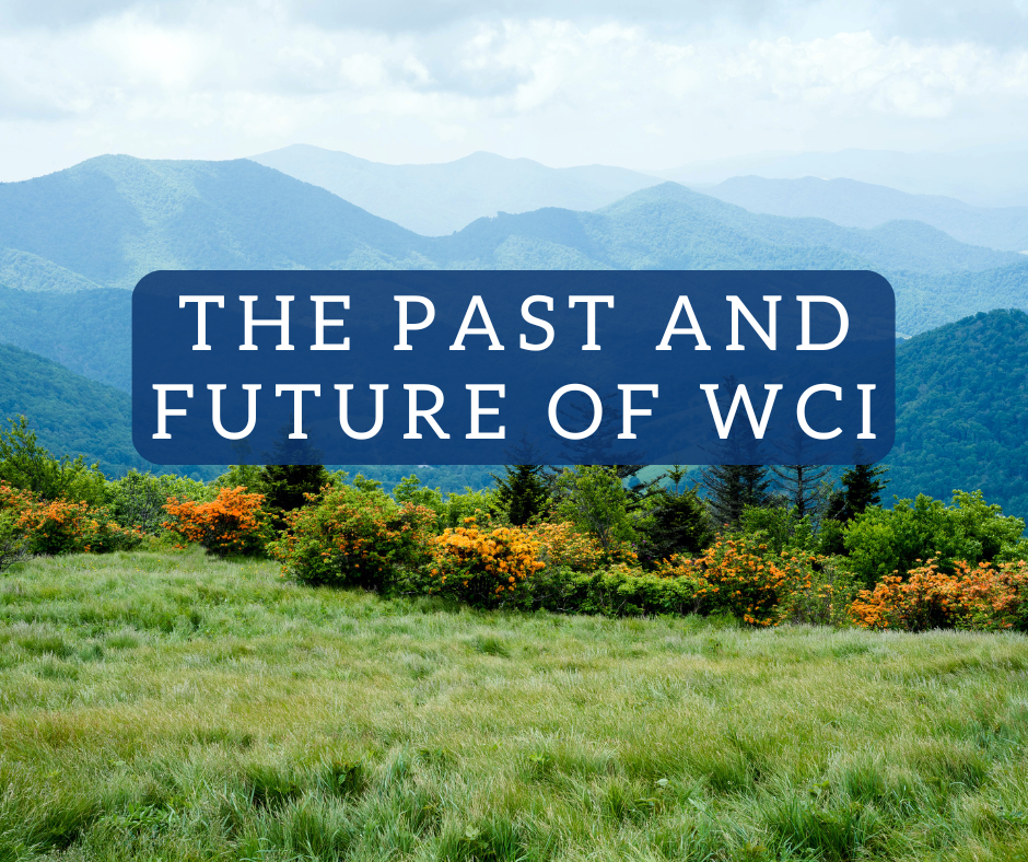 The Past and Future of WCI