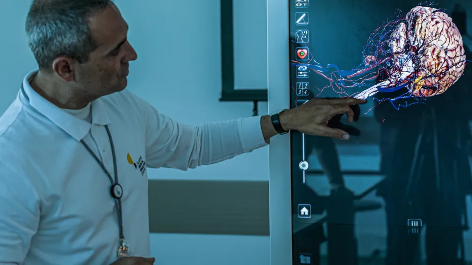 Lack of autonomy in research and digital skills in medical courses