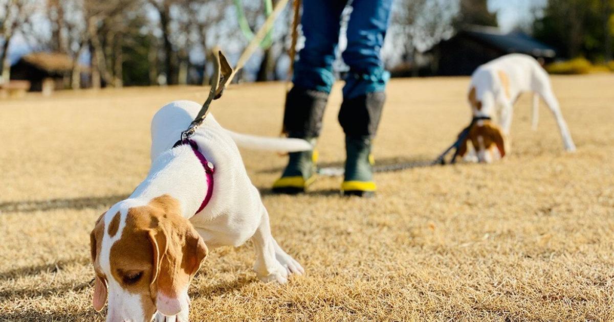 20 side hustle ideas to make extra money during the holidays and in 2026 | National