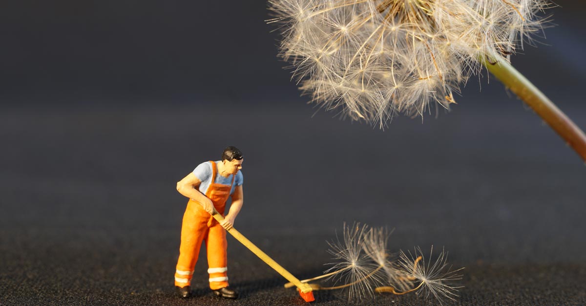 Online Courses | Learn Digital Skills – Mediabistro