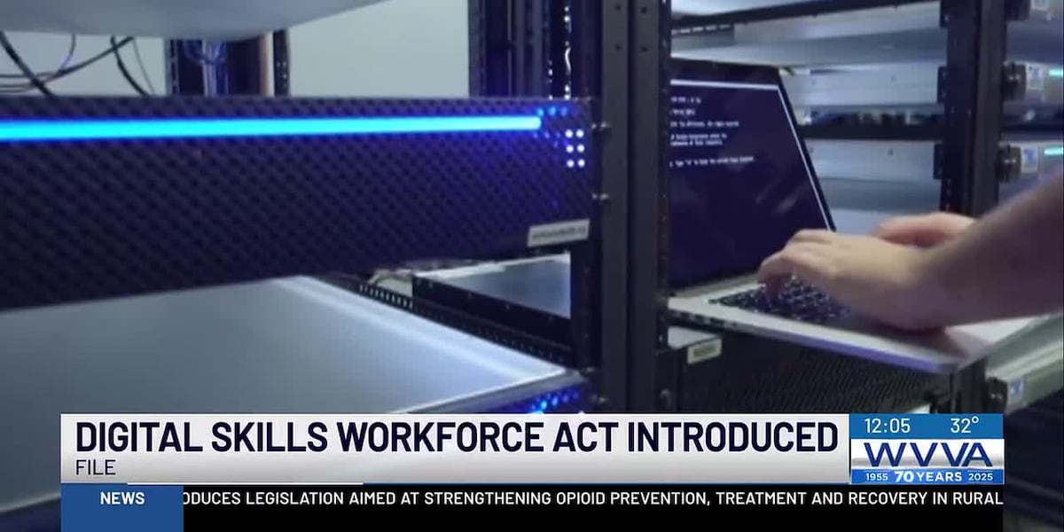 Digital Skills workforce act – WVVA