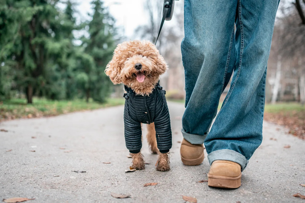 People share online some of the easiest ways to make money — and they’re even better than you think