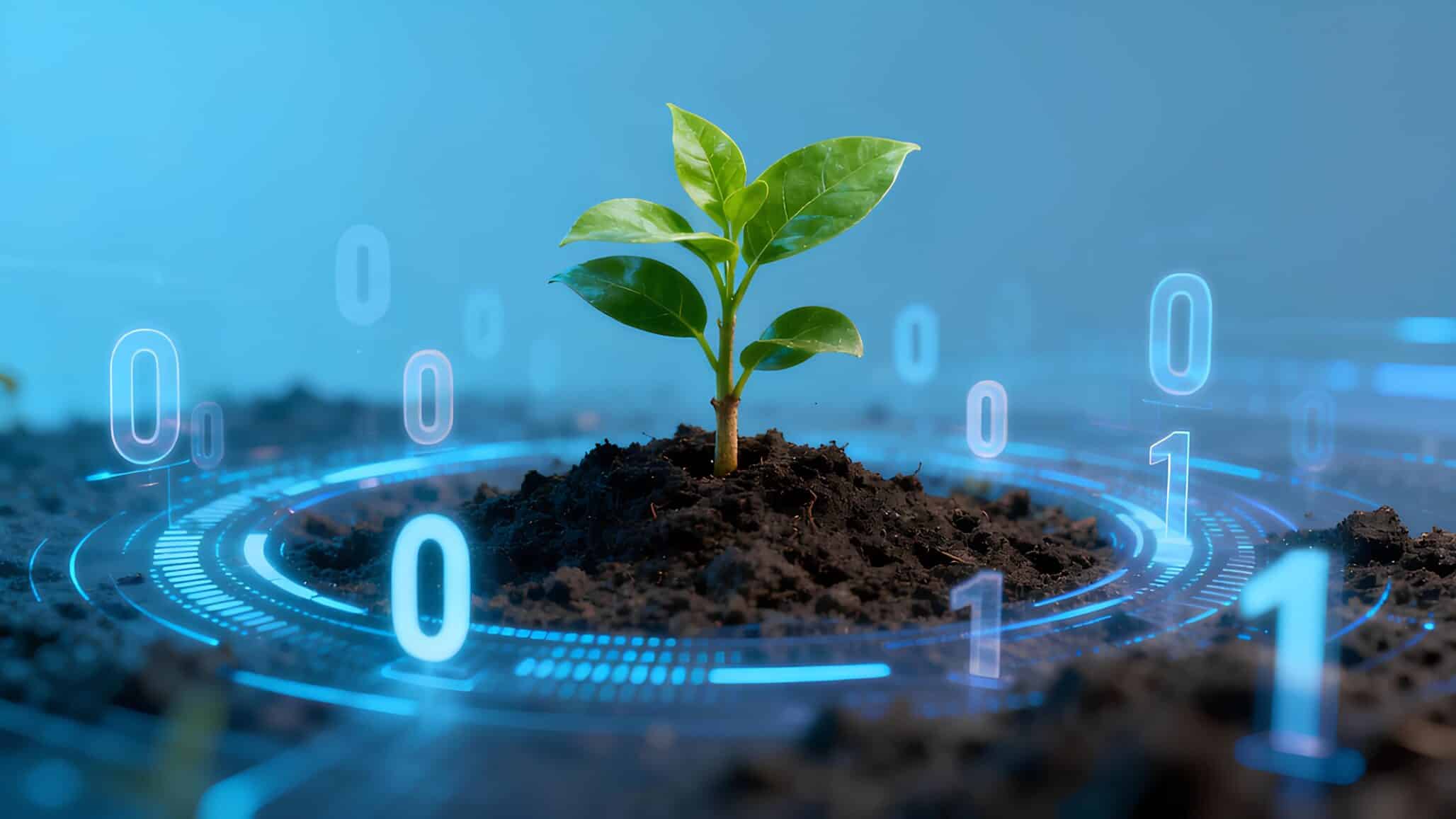 Harnessing Technology to Protect the World’s Crop Diversity