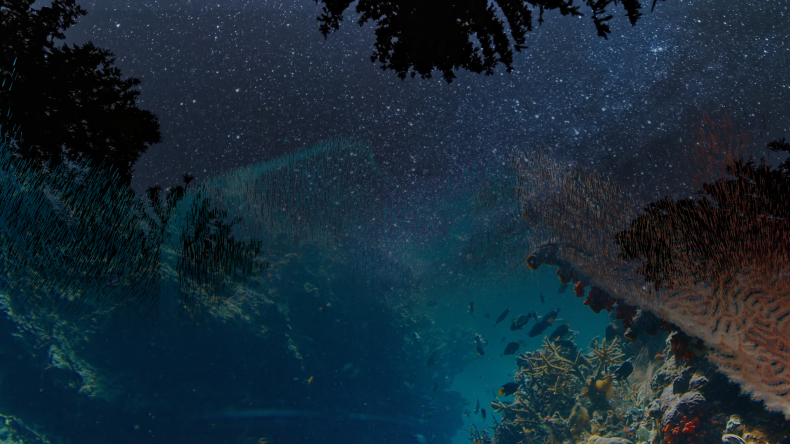 Connecting everyone, from seabed to stars – Vodafone