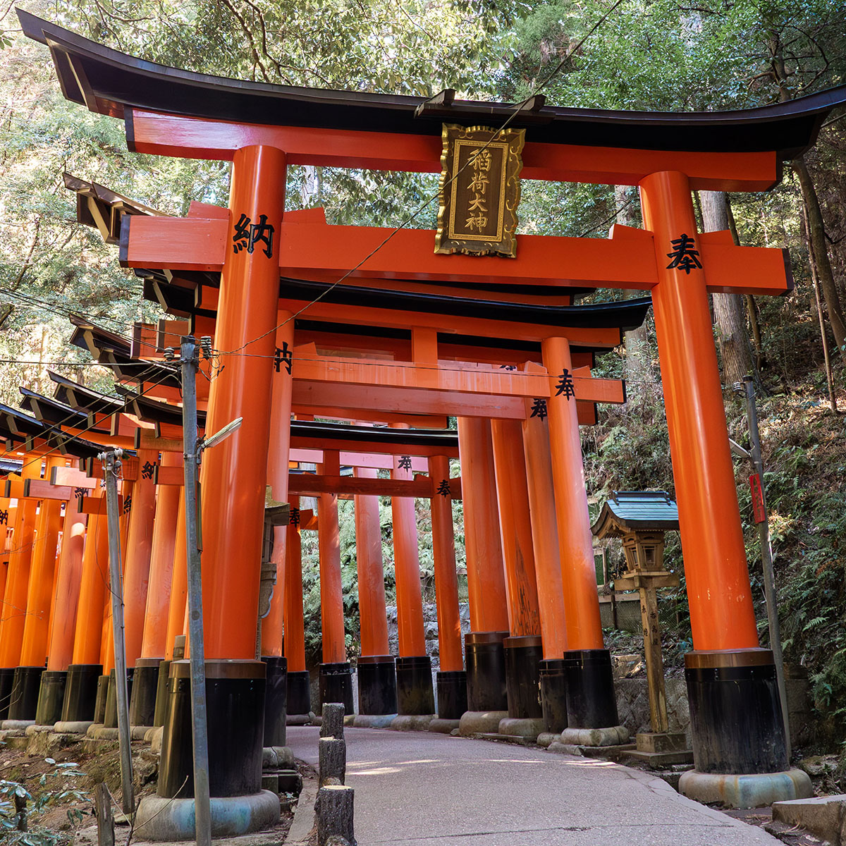 Best Online TEFL Courses for Digital Nomads & Working Abroad