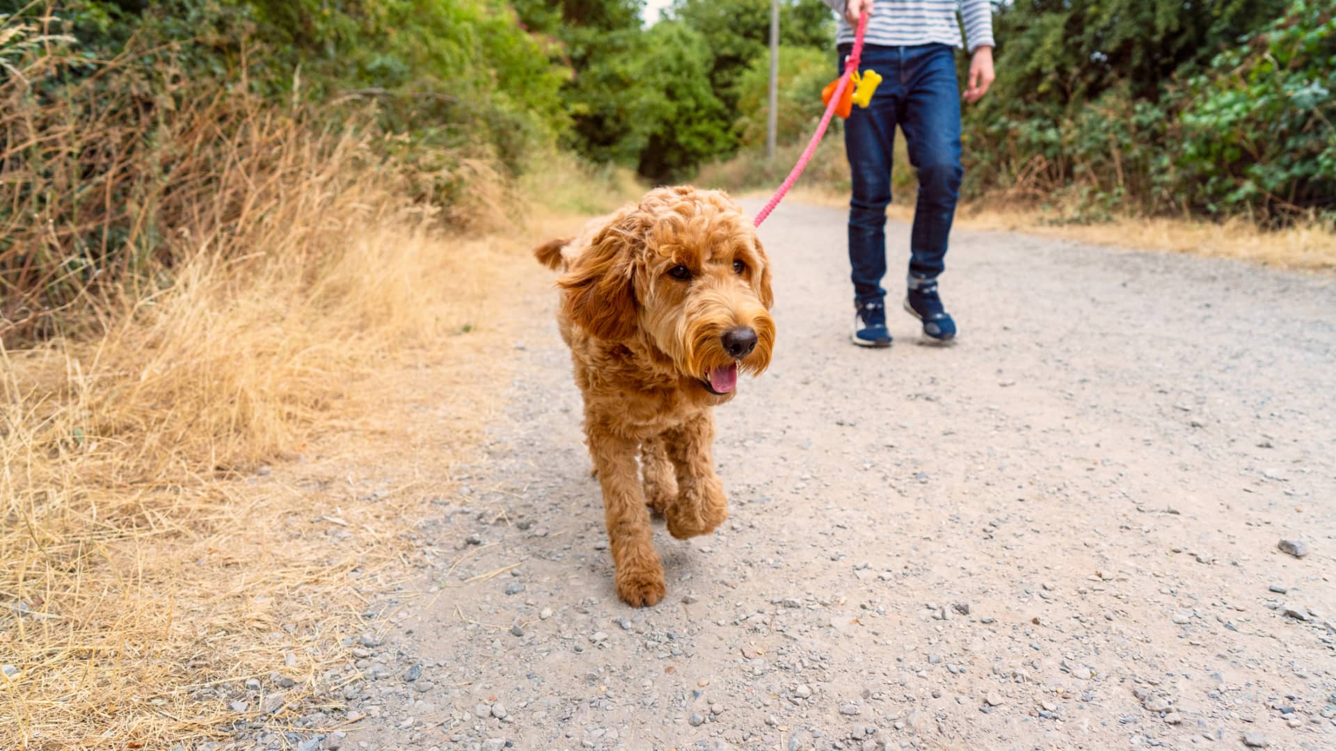 Money Tight? These Platforms Can Put Extra Cash In Your Pocket