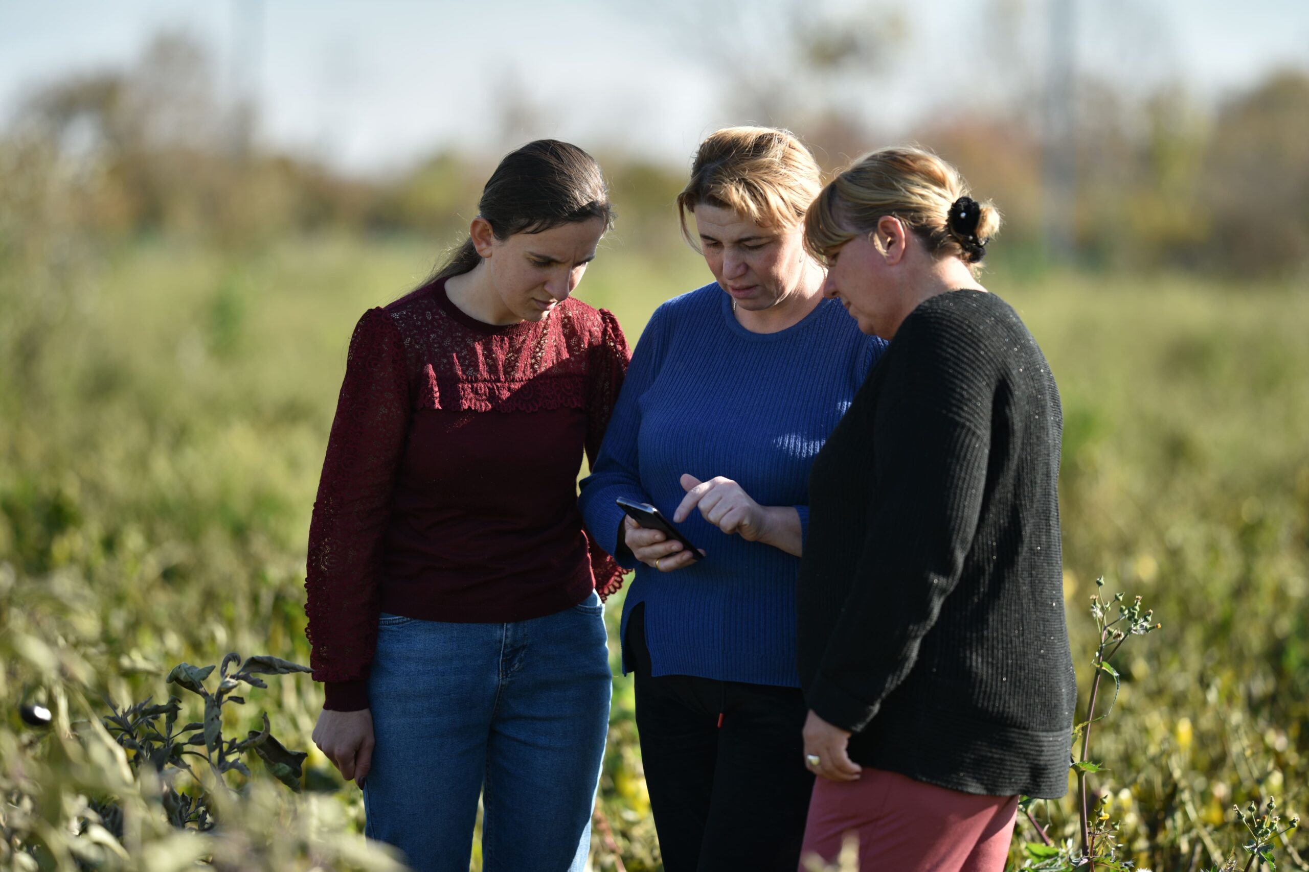 How farmers learn in the digital age – International Day special