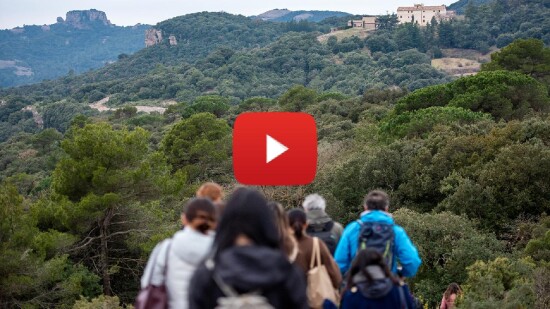 Huawei Highlights Digital Inclusion and Conservation Tech as AI Use Accelerates | Corporate