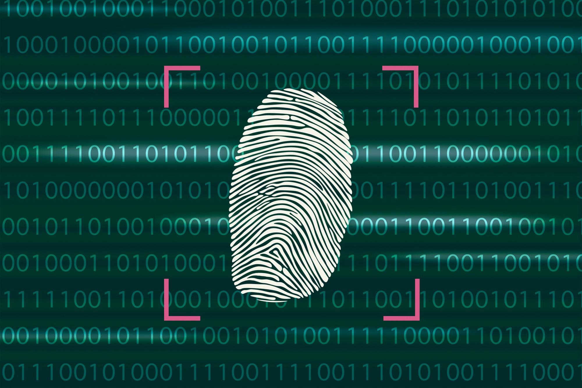 Dutch Politicians Call for Free Security Tools for Its Citizens