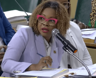 Laptop Programme being expanded to primary schools 