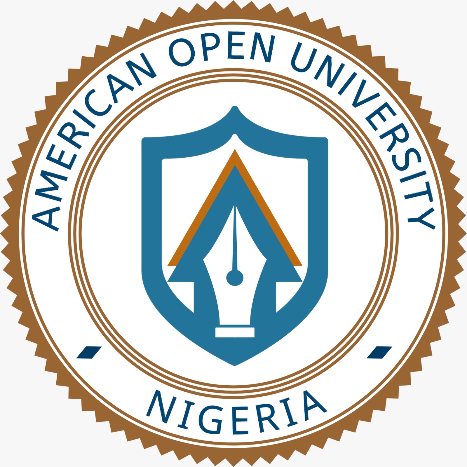 American Open University launches SKILL scholarship to empower Nigerians digital careers