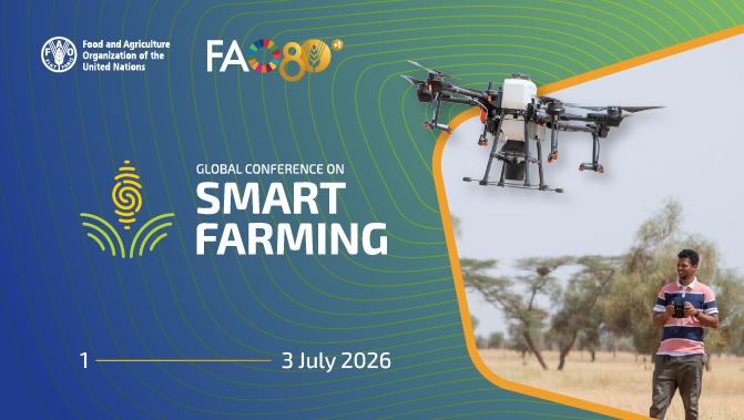 Digitalization of agrifood systems