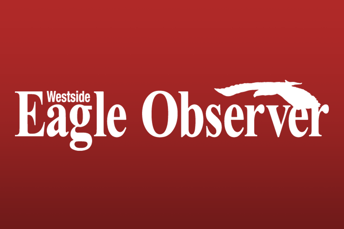 Gravette Public Library continues to service and grow