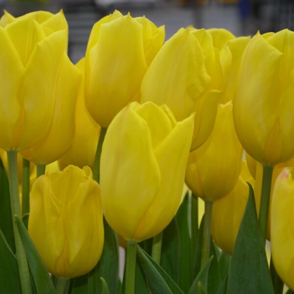 7 Realistic Ways Ordinary People Can Make Money in 2026 (No Fancy Skills Required)