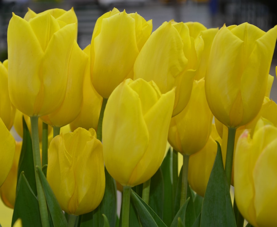 7 Realistic Ways Ordinary People Can Make Money in 2026 (No Fancy Skills Required)