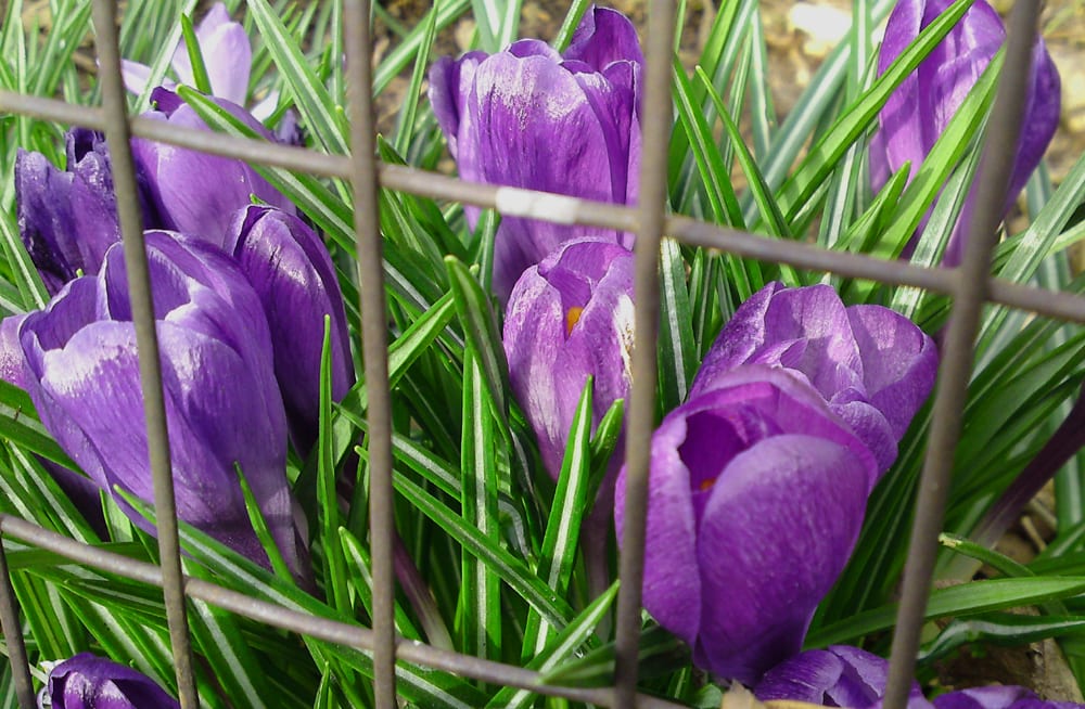 I Tried 5 Side Hustles — Only One Made Money