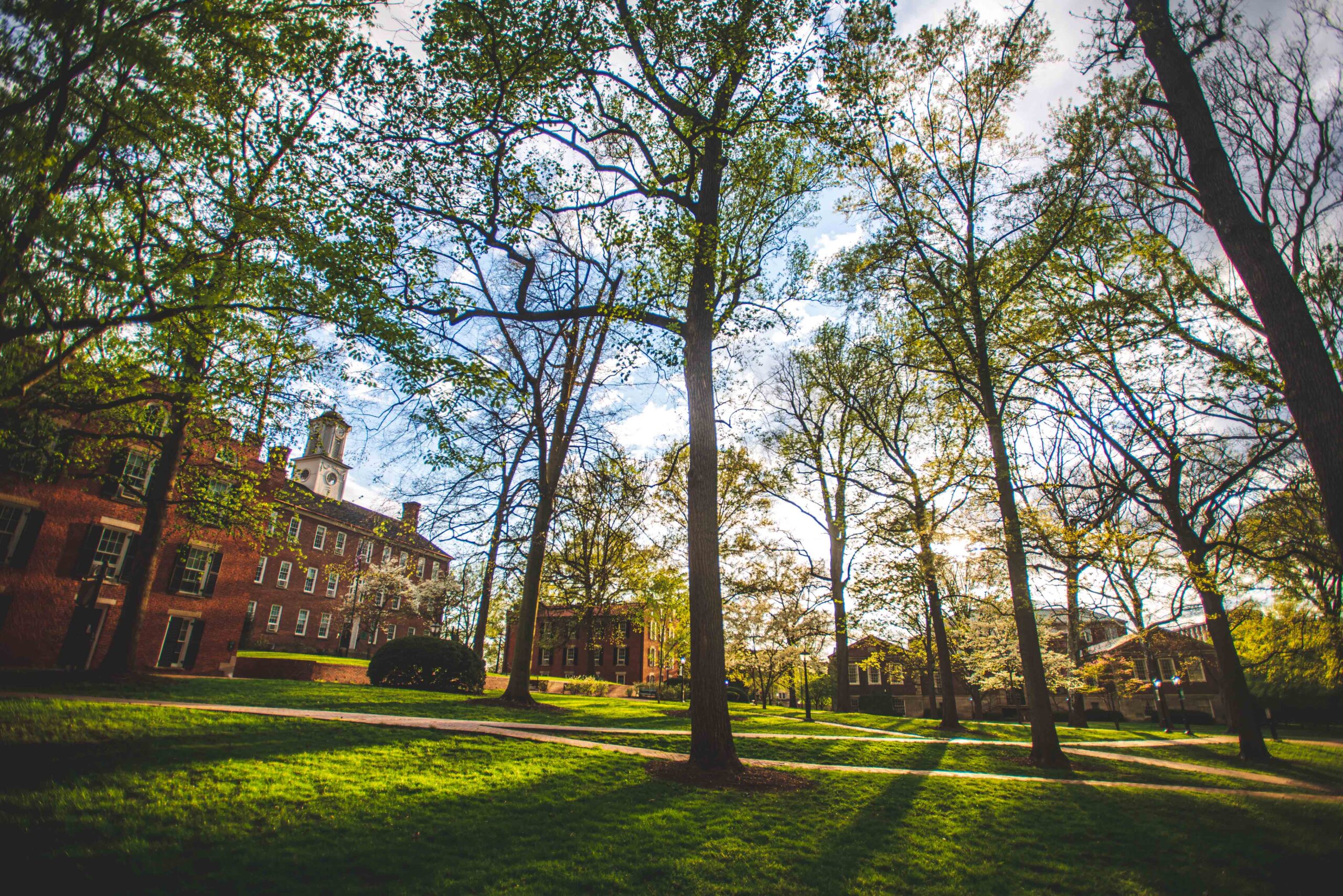 OHIO DAN 7 Core Digital Accessibility Skills