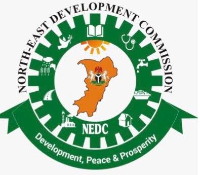 Nigerian Government, NEDC Train 250 Borno Teachers on Digital Skills,