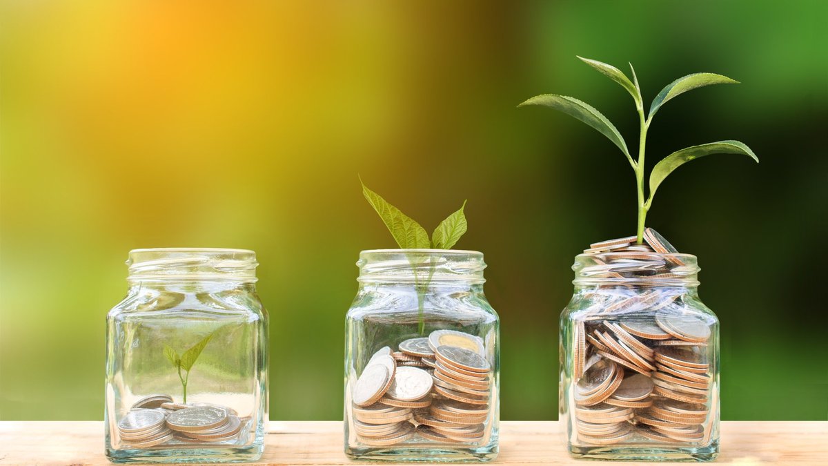 Put $25,000 in a High-Yield Savings Account and Here’s What Happens