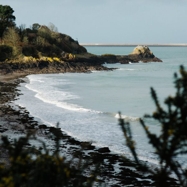 FOCUS: “There are people within our community who are not included as they should be”