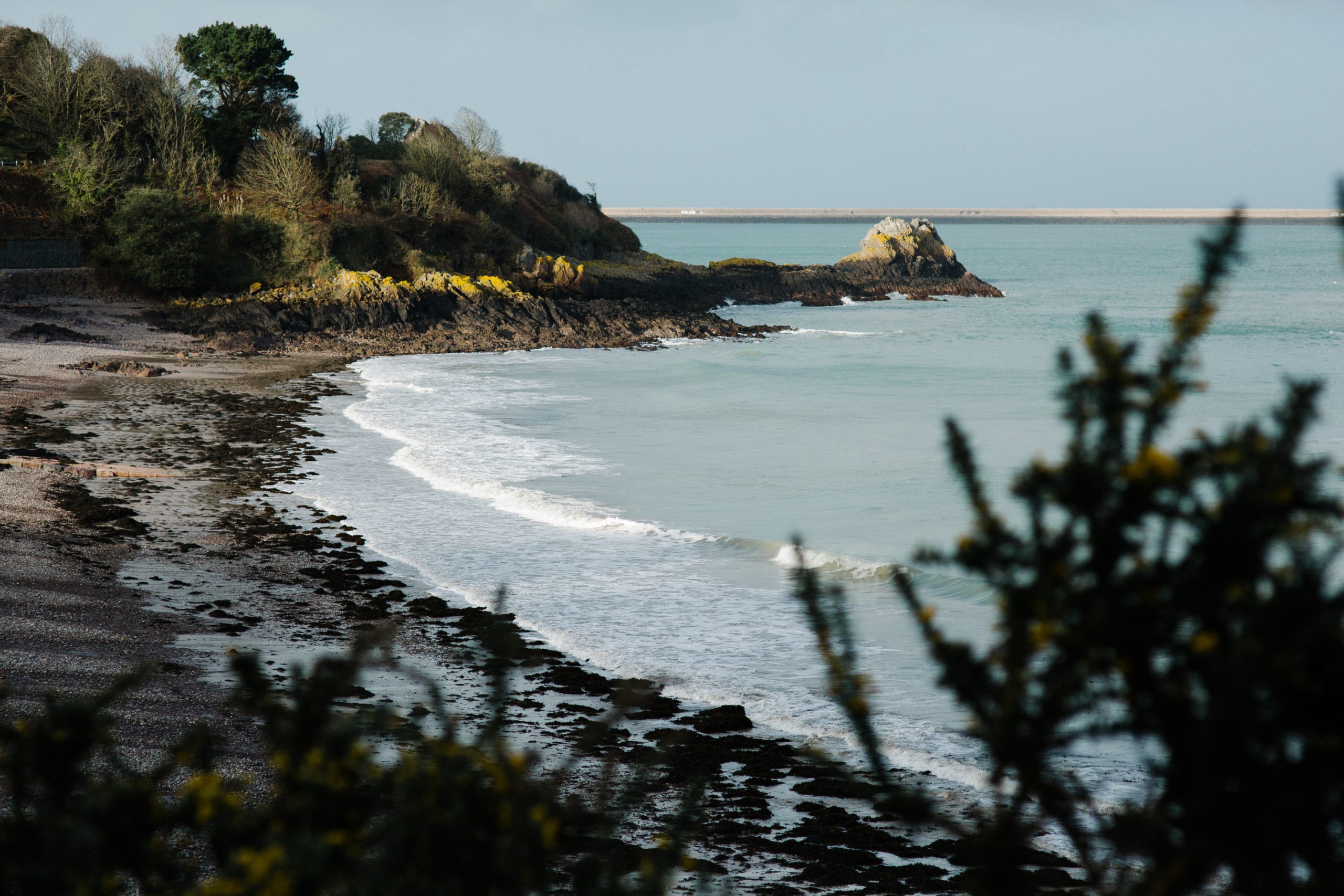 FOCUS: “There are people within our community who are not included as they should be”