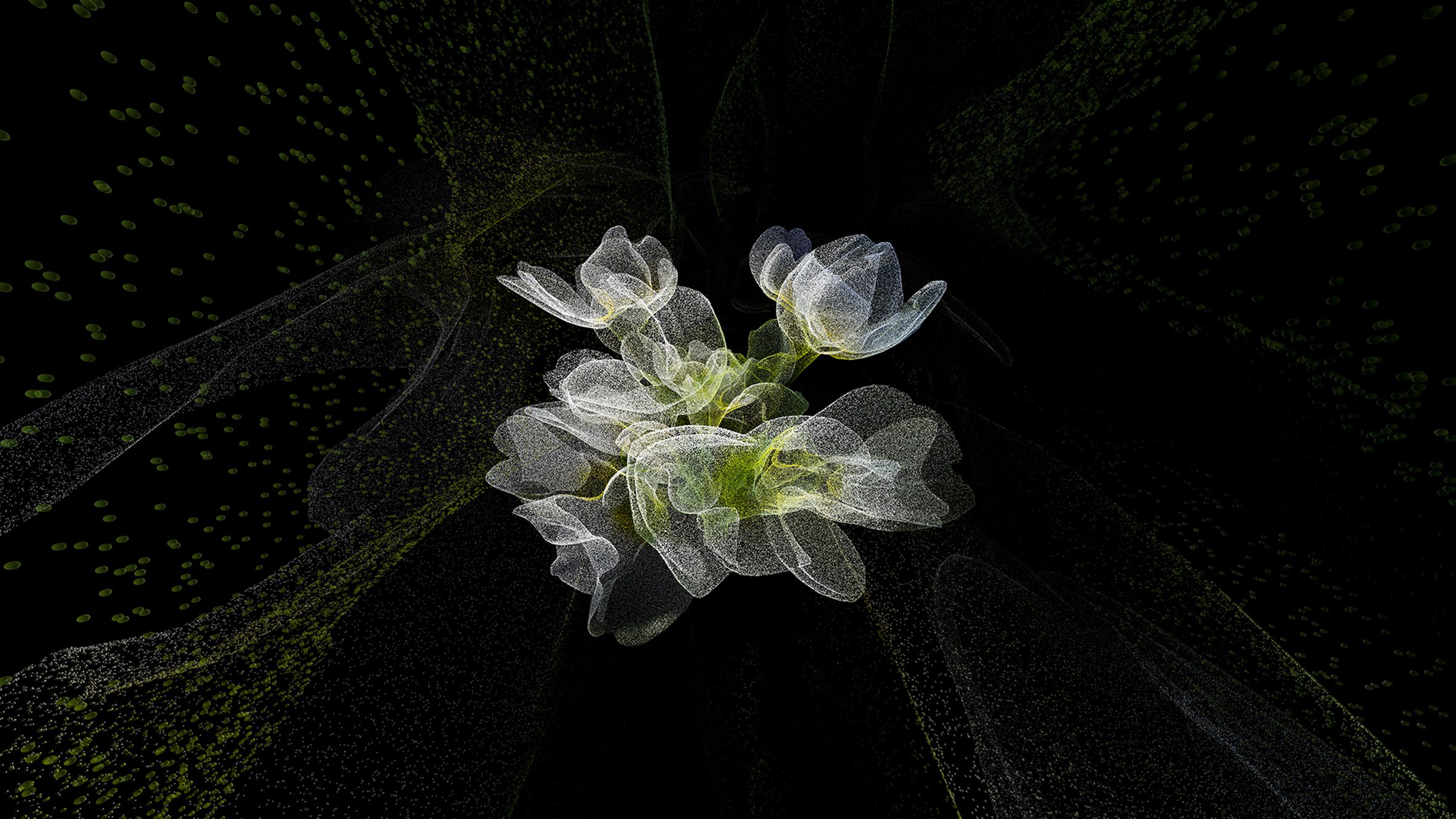 Photography and Digital Practice MA (Online) at London College of Communication